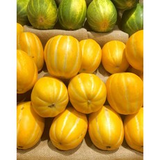 산지직송 성주 꿀 참외, 1박스, 가정용 중대과 2kg