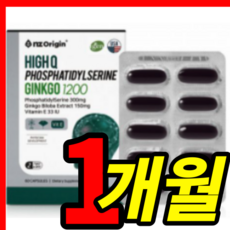 두뇌만사성