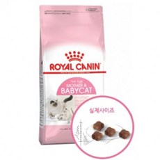 로얄캐닌마더앤베이비2kg
