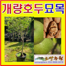 95b80bf70a8067c6da0ee8c15d4aa6ef0c52aade5ccc707bccf179937f2e.png