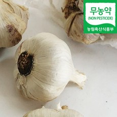 (자연마을) 국내산 무농약 남해 통마늘 마늘 800g / 2kg, 국내산 무농약 남해 통마늘 800g, 1개