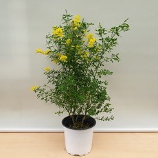 2ce31869c21991b9b0d948afa05a56659d4d60853f84a8fdc24011136cd2.jpg