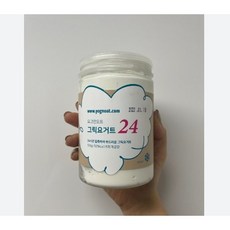 요그앤오트그릭요거트