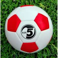 공정무역축구공