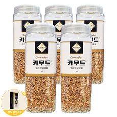 카무트 쌀 + 아이크림 파우치 증정