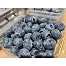 blueberry 프리미엄 생블루베리 블루베리 생과 500g 1kg 2kg, 1kg(16mm), 1개