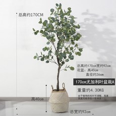 //상품명