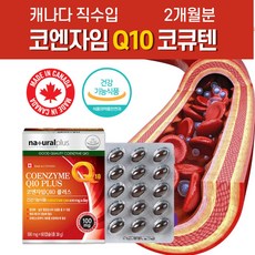 젠큐