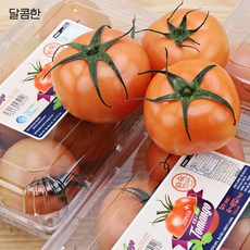 달달한 스테비아토마토 토망고 단마토 샤인마토, 스테비아 토망고 4kg
