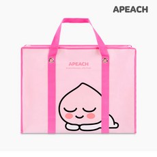 카카오프렌즈드라이백
