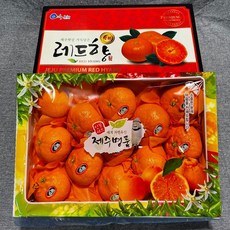 [백구푸드] 제주 레드향 3kg 선물세트, 1박스, 레드향 3kg 11~14과 선물용 로얄