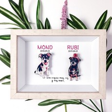 고양이전신제작