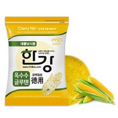 여의도한강요트