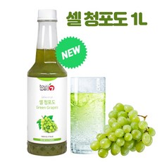 과일소주