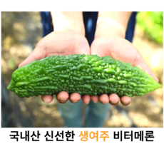 국산 신선한 생여주 500g 1kg 5kg 10kg 국내산 생여주 비터메론 여주 쓴수박 쓴오이 쓴박 싱싱한 햇여주 고야 동남아식재료