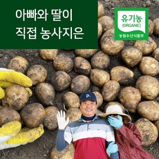 대지마