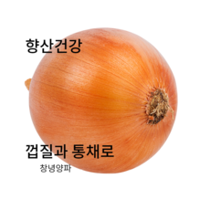 (홍열팜) 당뇨 고지혈증영양제 양파즙, 80포, 80개, 110ml