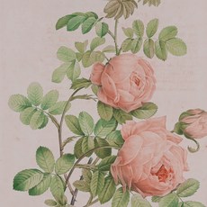 b31e8be0413cdccbb05d0751718f1b24e5c4f1860068ef23187103549d6e.jpg