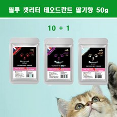 고양이 화장실 항균 탈취 필루 캣리터 데오드란트 [ 10 +1 ], 11개