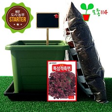베란다텃밭 세트 (미니2) 채소 재배 화분 씨앗 레시피, M201_꽃상추씨앗(뚝섬) 1봉지