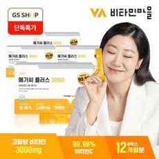 비타민마을 메가씨 플러스 3000 고함량 비타민C 4박스 12개월분, 270g, 4개