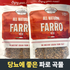 파로 TOP01
