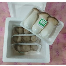 버섯누리 새송이 버섯 400g 4개 세트 [원산지:국산(전라남도 화순군)], 1박스, 1.6kg
