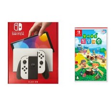 닌텐도스위치화이트