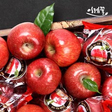 [이레뜰] 껍질째먹는 세척사과 2kg 10과내외, 단품