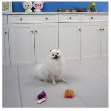 체리펫