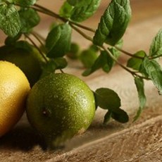 라임바질만다린프레그런스오일