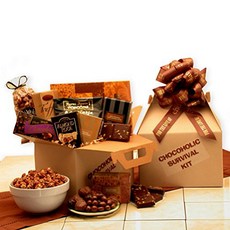 Chocolate Gift The Chocolate Lovers Survival Gift Care Package null