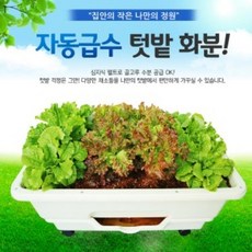 [2개 묶음할인]자동급수텃밭화분 FNJA1-2037 자동급수텃밭화분 텃밭재배기 베란다텃밭 아파트텃밭, 바퀴미포함, 그레이