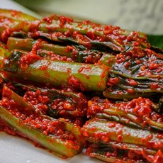종말이 맛집 전라도김치 갓김치 1kg 서민갑부 곽진영
