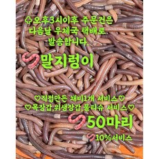 장어낚시-추천-상품