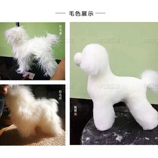  강아지기내용가방 서총 애완동물 미용 연습용 푸들 귀빈 가발 모형 가짜 개 머리 모발 헤어 페이크 등털 전신 털, T09-푸들 전신 헤어 몰드 형업그 