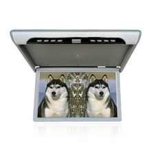 카니발천장tv19인치