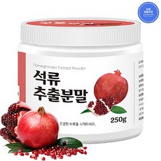 꽃보다석류즙