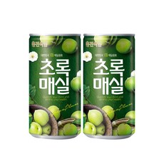 웅진 초록매실 캔 180ml(30개), 180ml, 30개