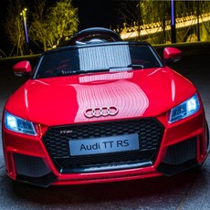 아우디푸쉬카캐노피