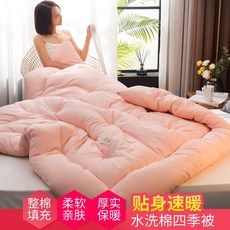 유니진컴퍼니 면 심천 두꺼운 보온 싱글 학생 기숙사 페어 에어컨 봄가을 풀패딩 10, 갈색 가루