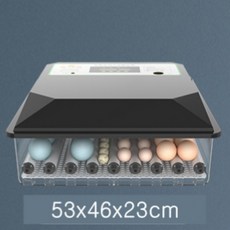 병아리부화기 자동병아리부화기 달걀부화기 계란부화기, 전자동 단일 전원 36개, 1개