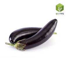 부산아난티다모임