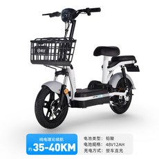 제주도전기자전거대여