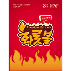 올덴 프리미엄 화롯불 손난로 핫팩 80g 5입 2개, 5개