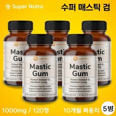 자로우매스틱검 TOP01