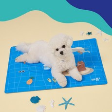 바디보감쿨매트