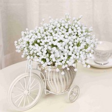 babybreath