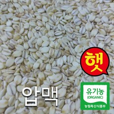 산들바람 2023년 햇 보리 국산 유기농 압맥 1kg, 1개