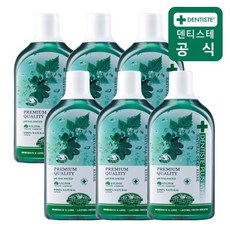 덴티스테 내츄럴 오랄린스 가글 700ml 6개